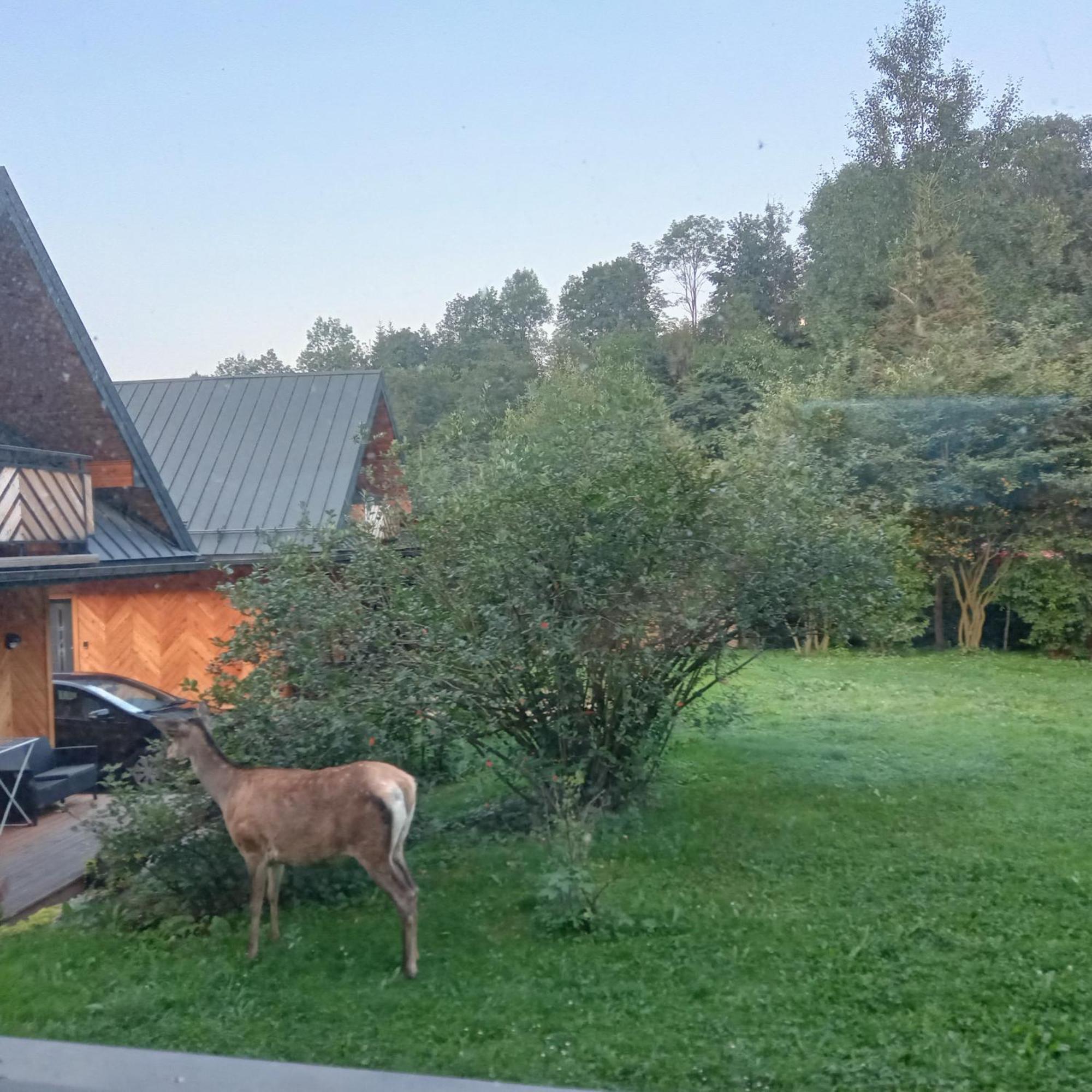 Przy Skwerku Chalet